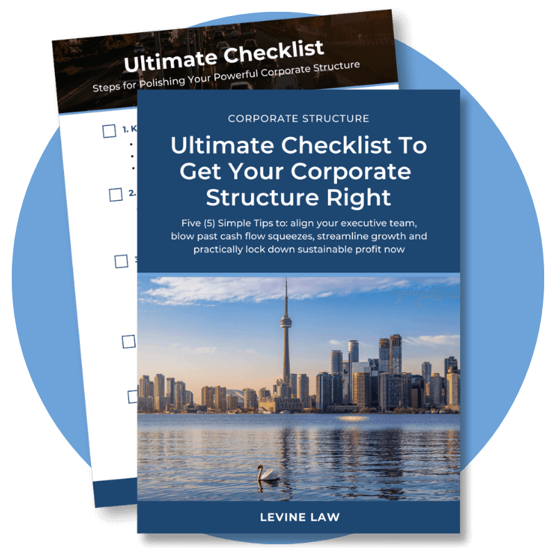 Levine Law's Ultimate checklist to get your corporate structure right - free download (1)